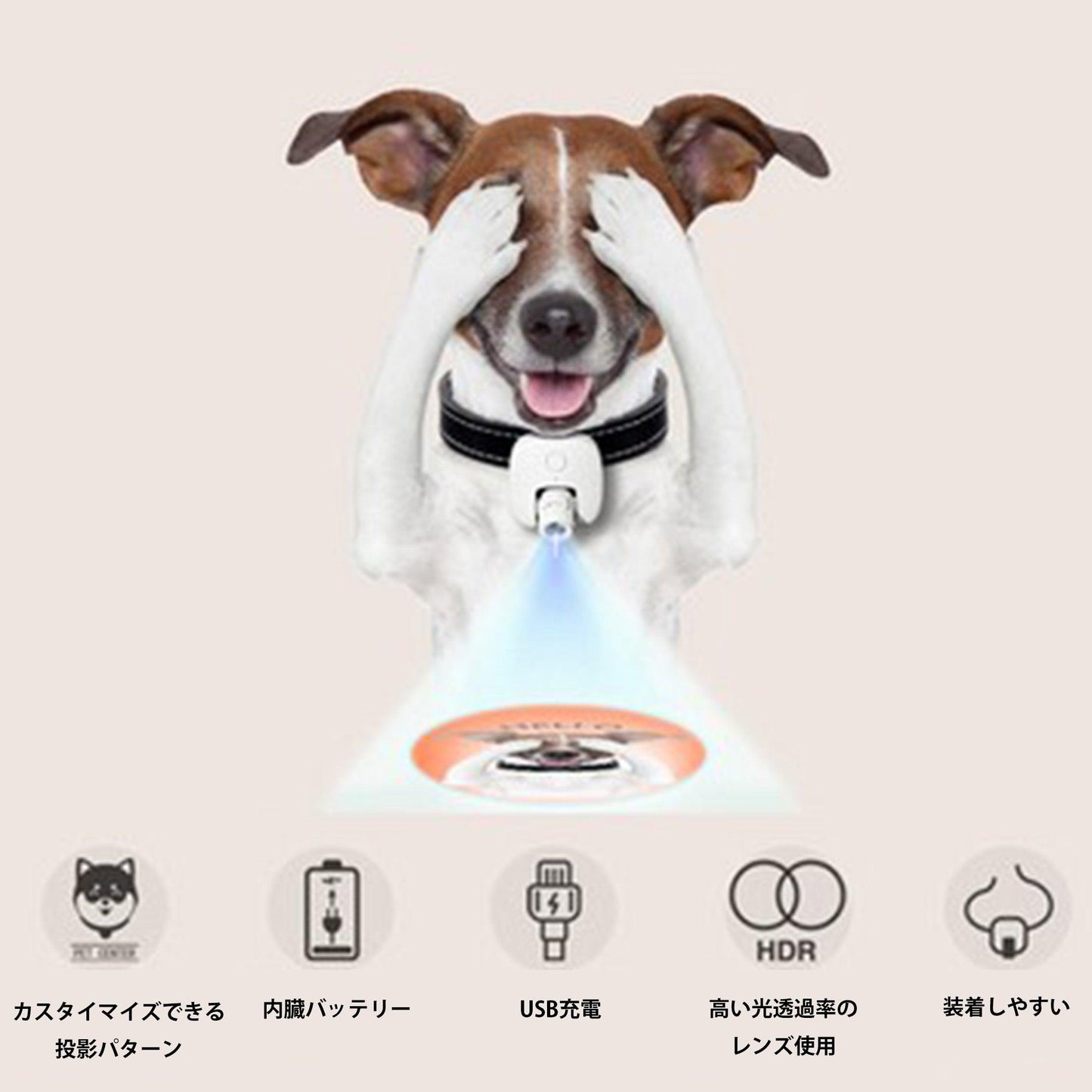 世界に一つだけのオリジナルお散歩ライト! - SNAP CRAFT工房