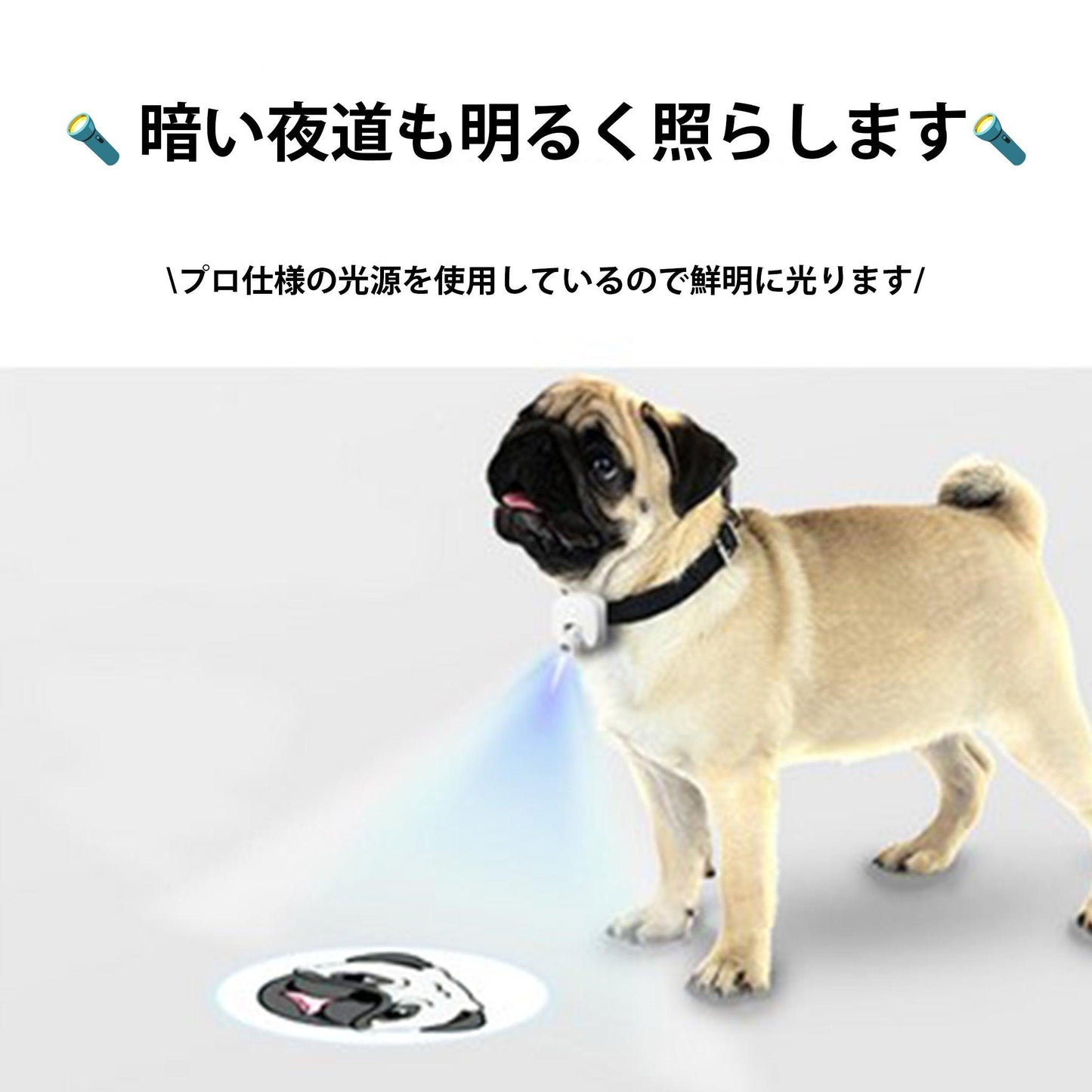 世界に一つだけのオリジナルお散歩ライト! - SNAP CRAFT工房