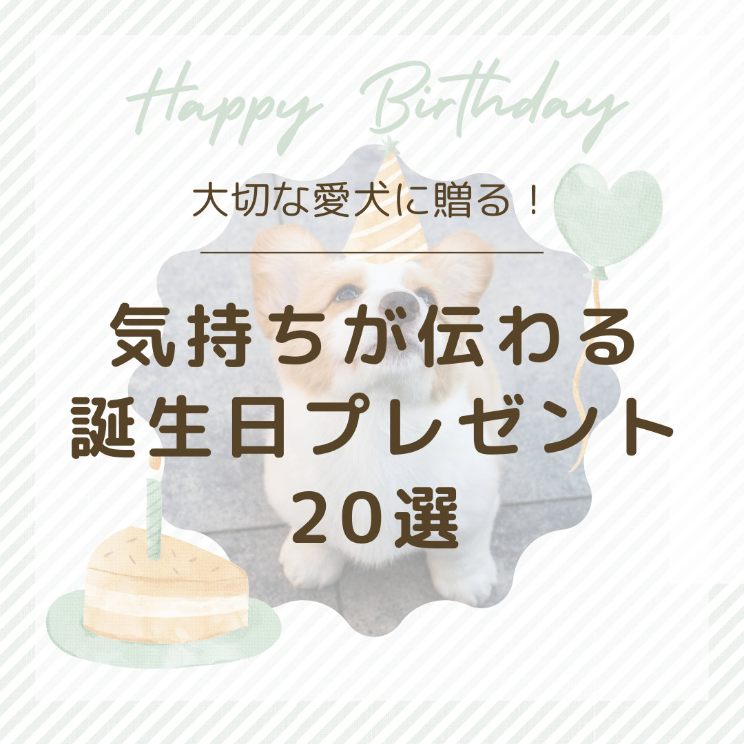 大切な愛犬に贈る！気持ちが伝わる誕生日プレゼント20選│愛犬が喜ぶ誕生日に